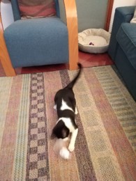 IMG_20210415_192631.jpg