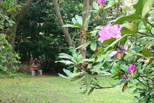 IMG_20210418_171353.jpg
