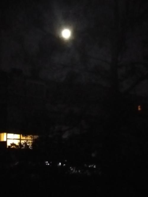 IMG_20210623_231156.jpg