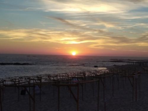 PV5.jfif