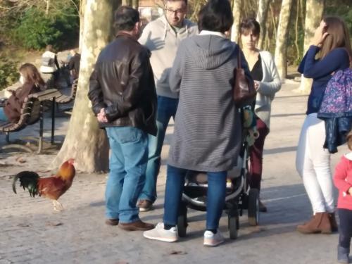 ParqueDaCidade18-12-2021-2.jpg
