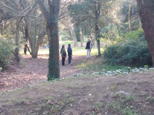 ParqueDaCidade18-12-2021-3.jpg