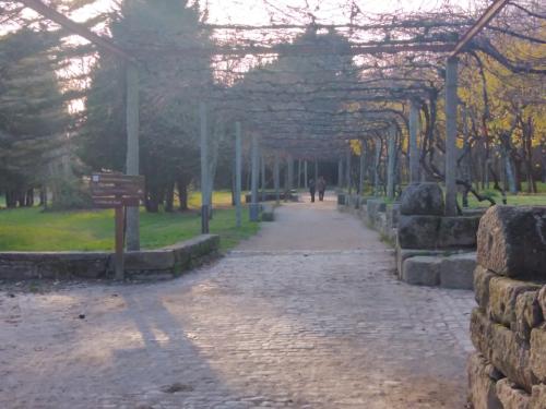 ParqueDaCidade18-12-2021-4.jpg
