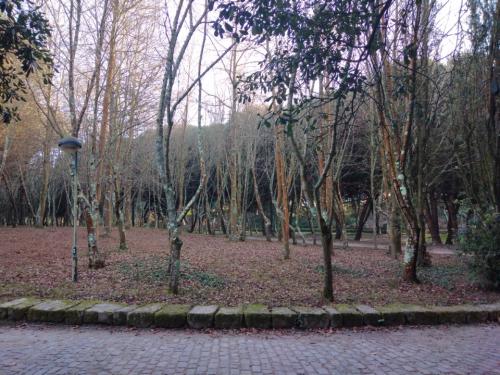 ParqueDaCidade18-12-2021-10.jpg