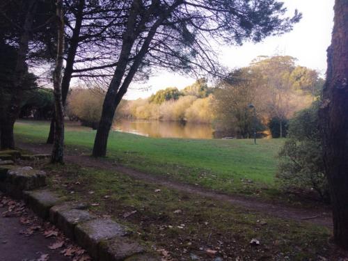 ParqueDaCidade18-12-2021-11.jpg