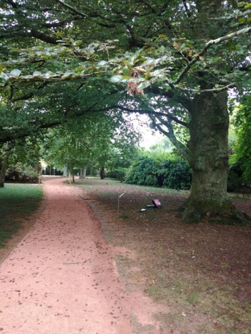 Serralves1.jpg