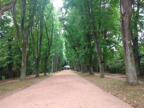 Serralves1a.jpg