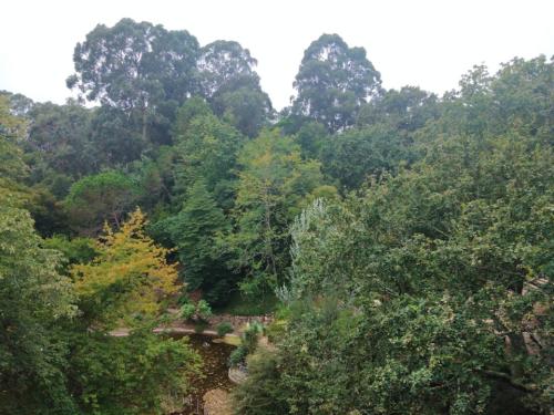 Serralves3.jpg