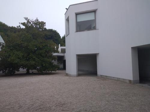 Serralves9.jpg
