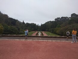Serralves19.jpg