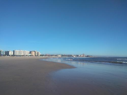 Matosinhos3.jpg