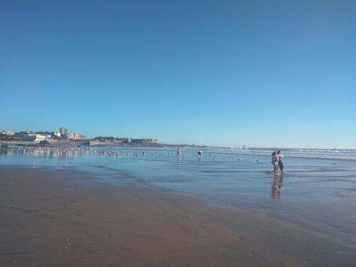 Matosinhos6.jpg