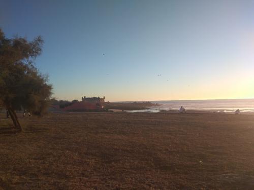 Matosinhos7.jpg