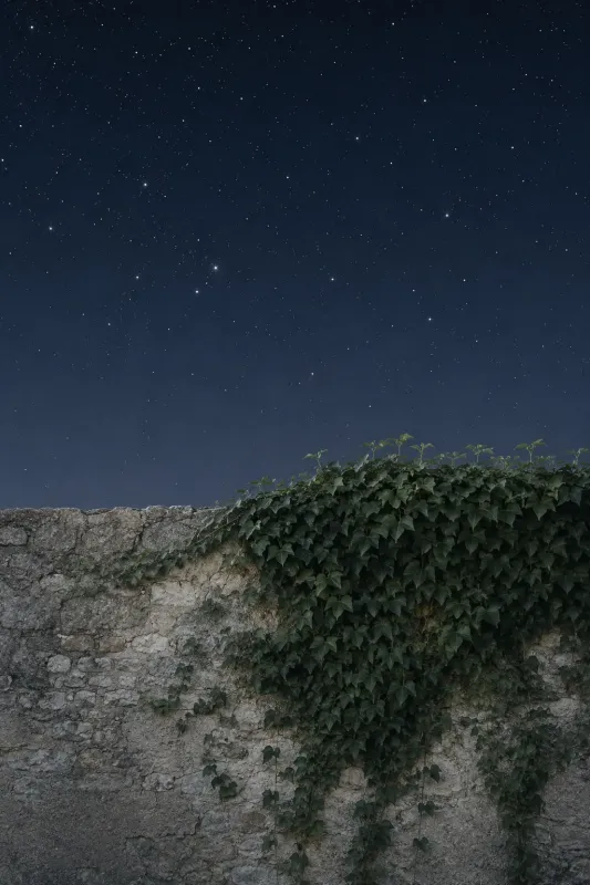 A batota das estrelas