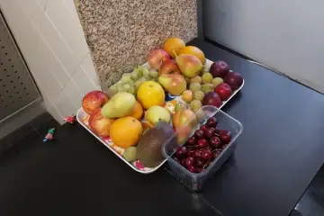 Diário 16 de Agosto de 2026