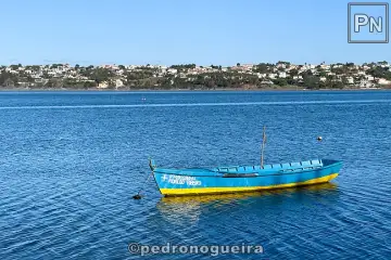 'Fidalgo Ribeiro'
