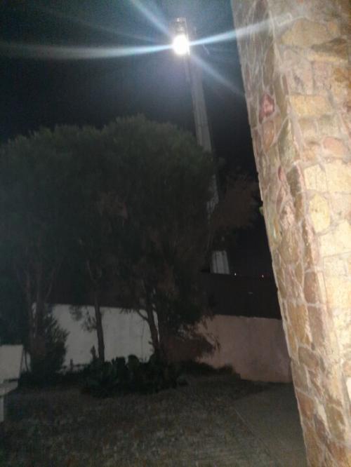 20240821_215209.jpg