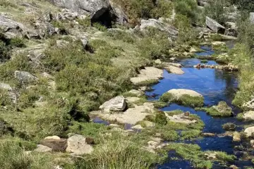 Eu e a IA. O lugar onde o tempo é o que tu determinas