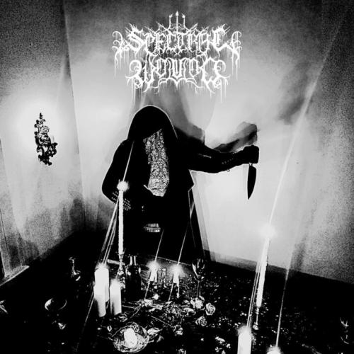 cover SPECTRAL WOUND - Songs Of Blood and Mire.jpg