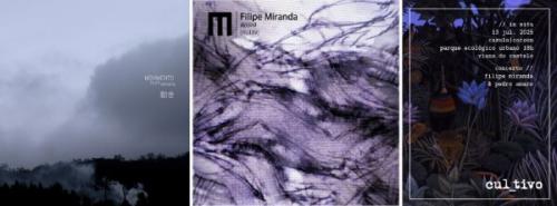 FILIPE MIRANDA » MOVIMENTO + ROSHI + IN SITU