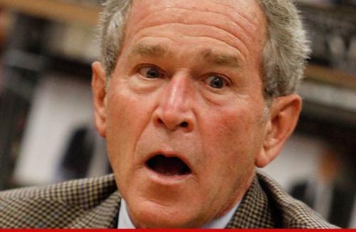 Resultado de imagem para george bush