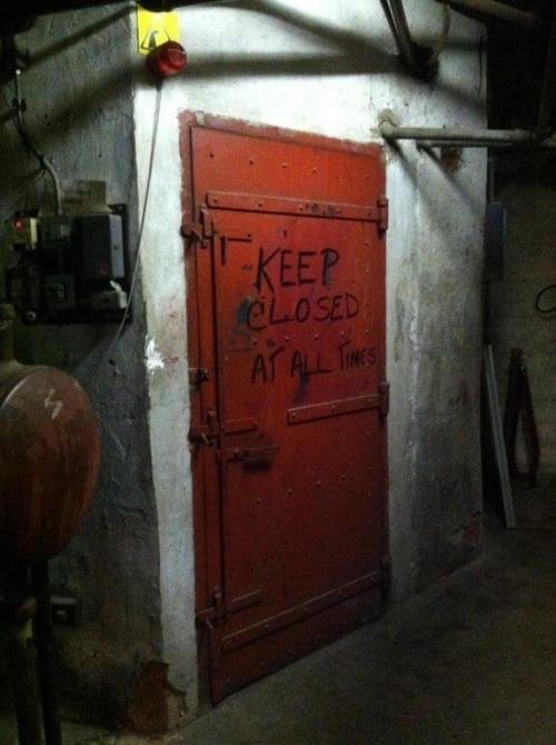 Atr&aacute;s da Porta, papagaio, blogs, sapo.jpg