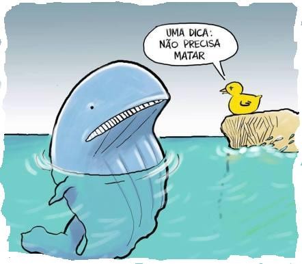 balei-azul.jpg balei-azul.jpg