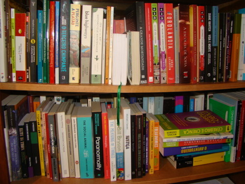 Estante livros papagaio