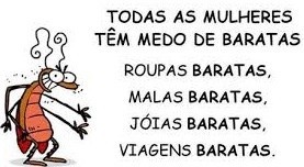papagaio medo.jpg