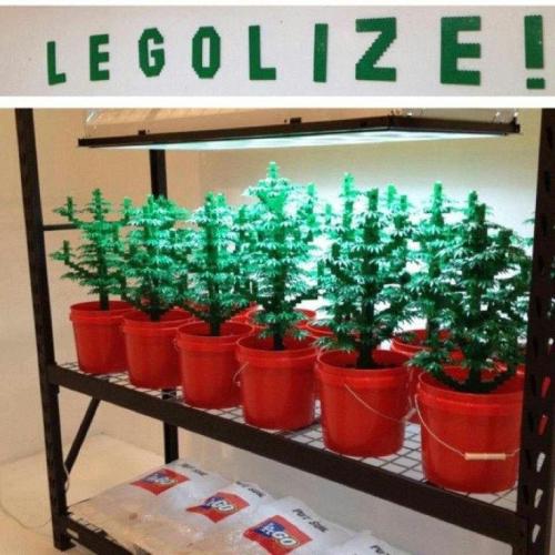 Resultado de imagem para lego cannabis