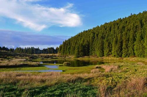 Ilha Terceira: Trilha dos Mist&eacute;rios Negros - Angra do Hero&iacute;smo, Portugal |  GetYourGuide