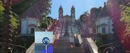 papagaio em Braga.png papagaio em Braga.png