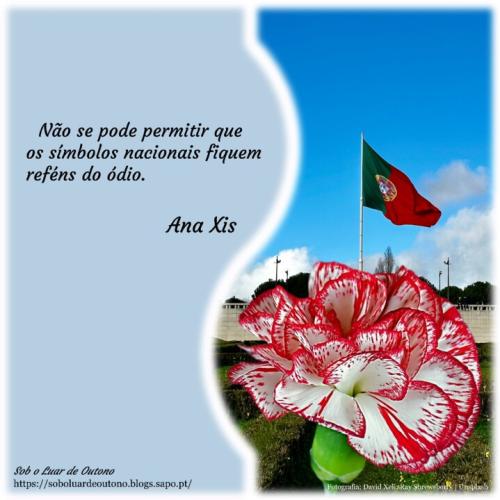 2024-04-12_Imagens para o blogue_50x50_Bandeira Cr