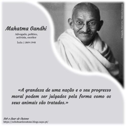 2024-04-24_Sob o Luar de Outono_Ghandi-Grandeza Na