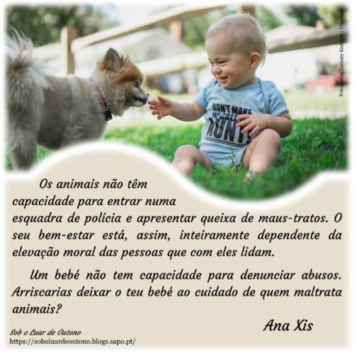 2024-04-24_Sob o Luar de Outono_Cão e bebé.jpg