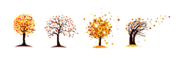 Autumn_tree_set-transparente -linear-2.png