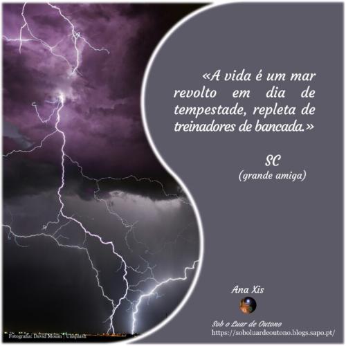 2025-06-14_Sob o Luar de Outono_Vida Tempestade Tr