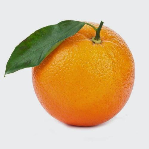 21779616.jpeg