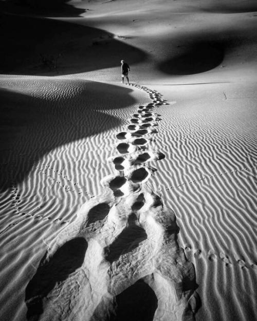bw_addiction_1646653485.jpg