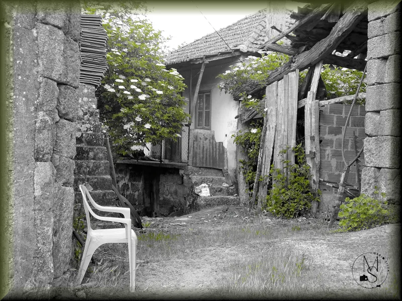 "O verde do abandono" -  Águas Frias – Chaves - Portugal
