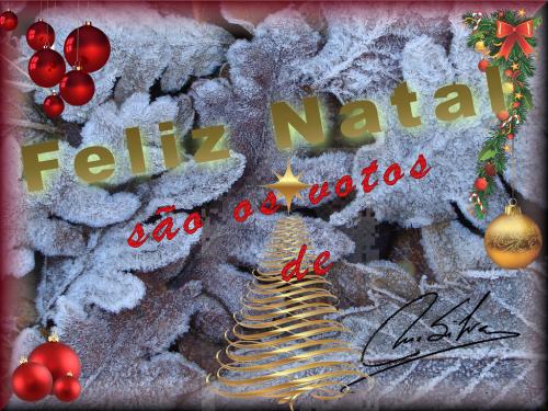 DSC02765 - Natal 2021