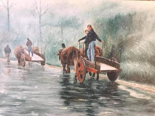 D07 Nevando - Alfredo Cabeleira