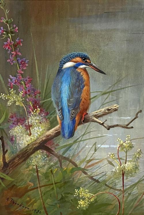 23Jan Guarda rios - Archibald Thorburn (1860- 193