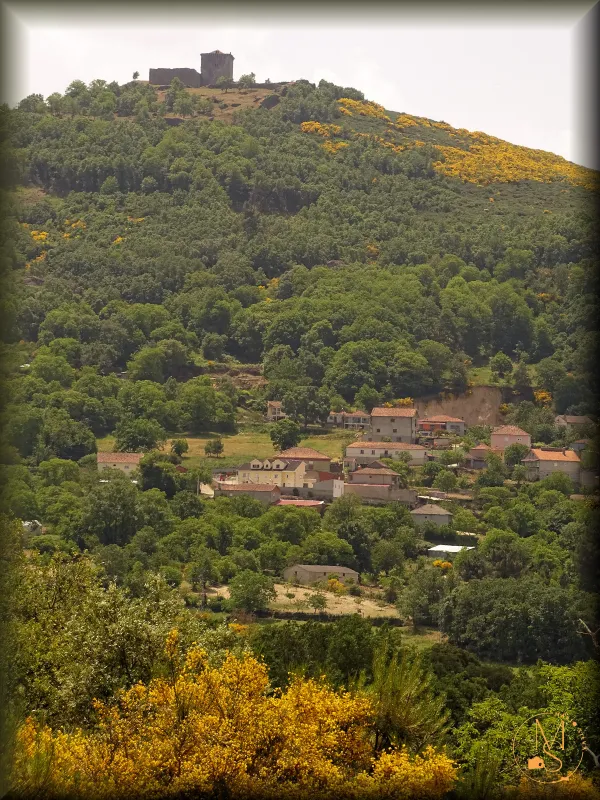 "Colina do Brunheiro - a Aldeia entre as giestas amarelas e o castelo"  - Águas Frias, Chaves, Portugal