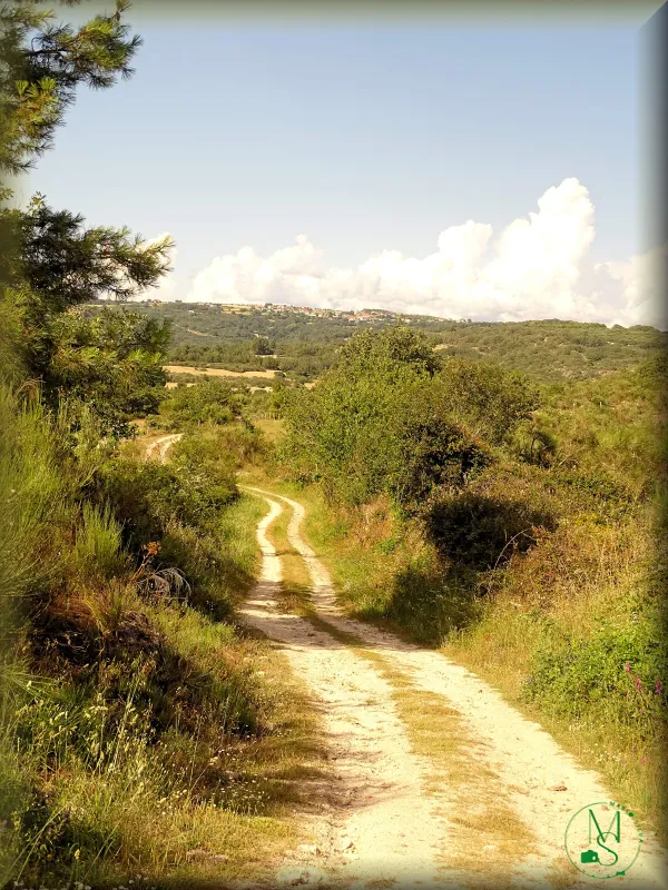 Caminhos Rurais que Unem Terras e Gentes