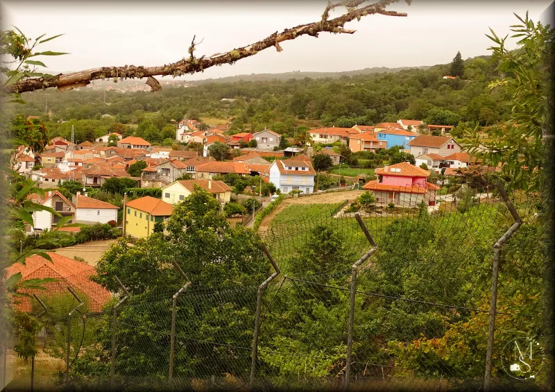 O Ciclo da Vida Transmontana:  "Águas Frias, em agosto, rejuvenesce ... e depois ..."