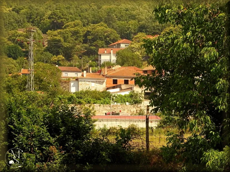 A Aldeia:  A Ilha no Meio do Verde