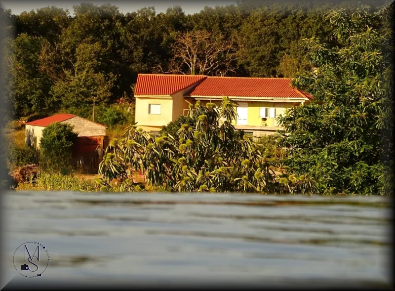 A Trilogia da Vida Rural:  "A água fria do tanque, os castanheiros e a casa amarela"