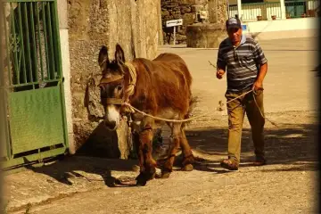 Companheiros de Jornada: "Parada (Chaves), o Homem e o Burro"