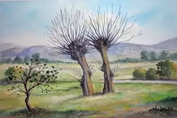 “Vimeiros Velhos” - Alcino Rodrigues